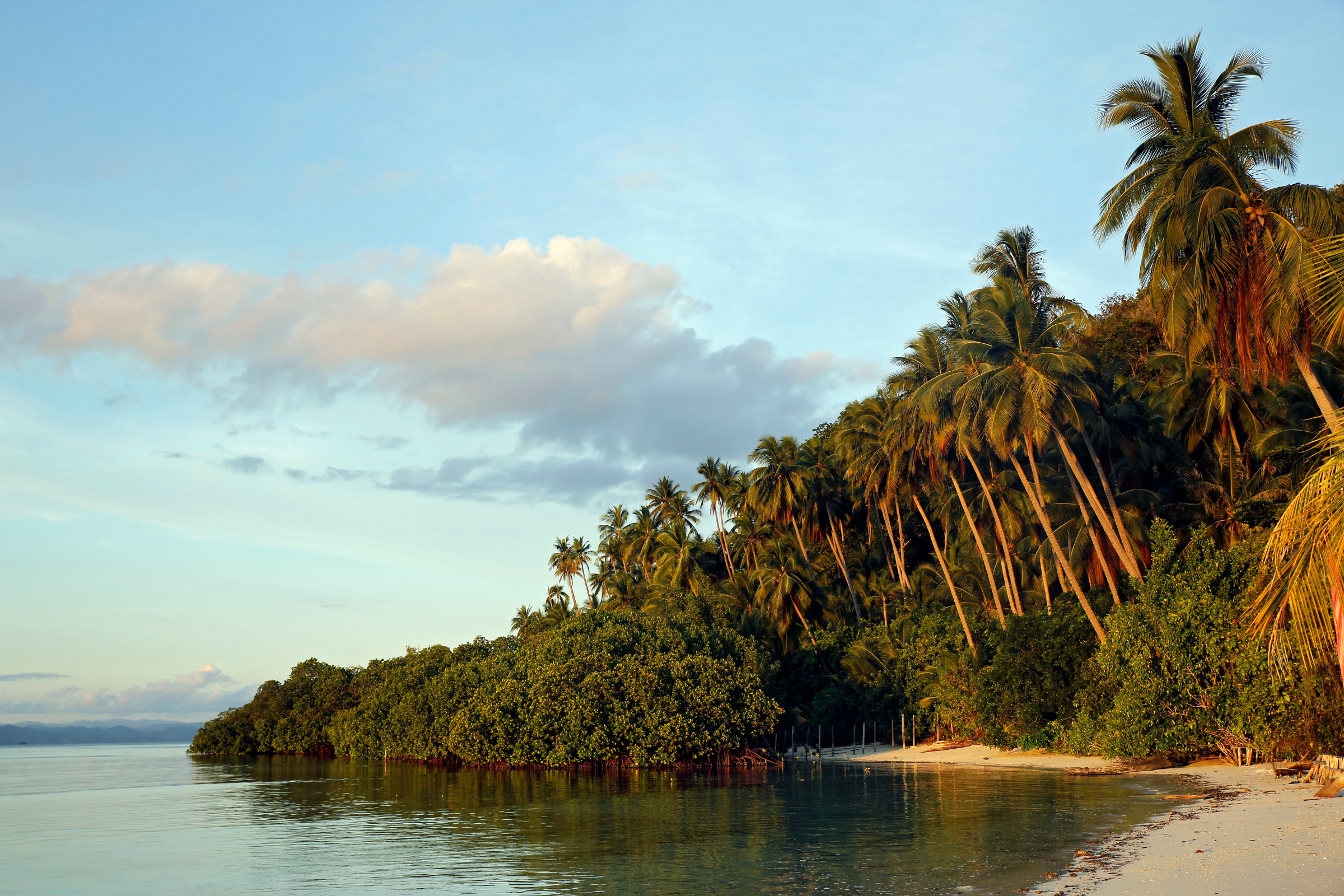 Mansuar_Island[1].webp